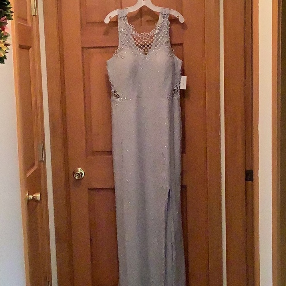 NWT Silver Gown